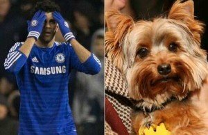 Diego Costa and his pet dog