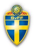 Sweden Euro 2020 Squad - Sweden National Team For Euro 2021! 2