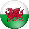 Wales Euro 2020 Squad - Wales National Team For Euro 2021! 1