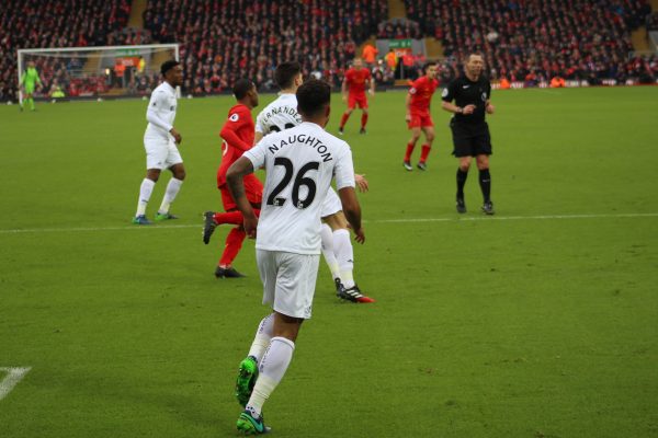 Swansea City Squad, Team, All Players 2018 2019