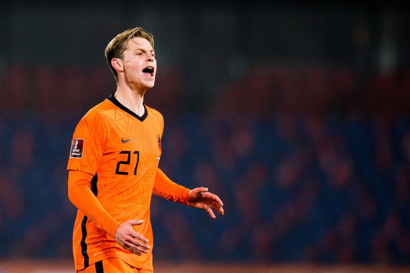 Cody Gakpo - Netherlands Players To Watch Out For At World Cup