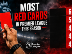 Most Red Cards In Premier League This Season Player with Most Red Cards in Premier League This Season