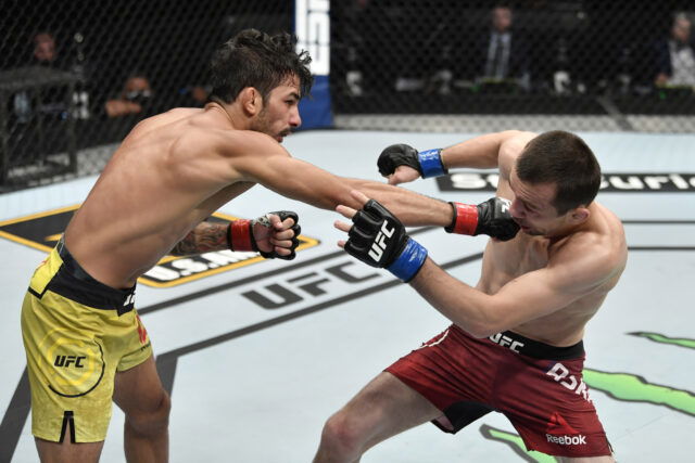 Pantoja vs Erceg