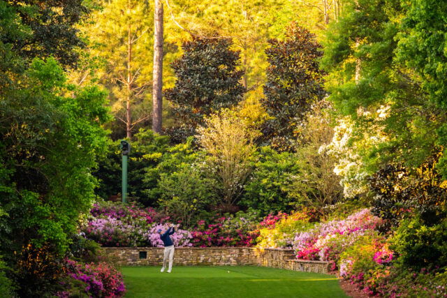 Odds to win Masters 2025 - who will win the Masters 2025?