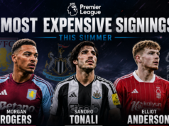 5 most expensive signings in the Premier League this summer 5 most expensive signings in the Premier League this summer